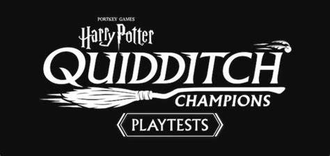 Harry Potter Quidditch Champions