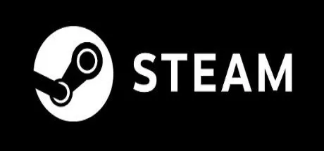Steam